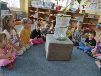 Od húsenice k motýľovi