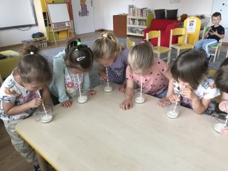 Medzinárodný deň mlieka