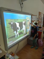 Deň mlieka v materskej škole